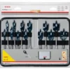 Trousse De Mèches Plates Expert BOSCH Self Cut Speed Ø10 à 32 Mm - 2608900336 1 Trousse De Mèches Plates Expert BOSCH Self Cut Speed Ø10 à 32 Mm - 2608900336 -Bosch MMA30180 1 1
